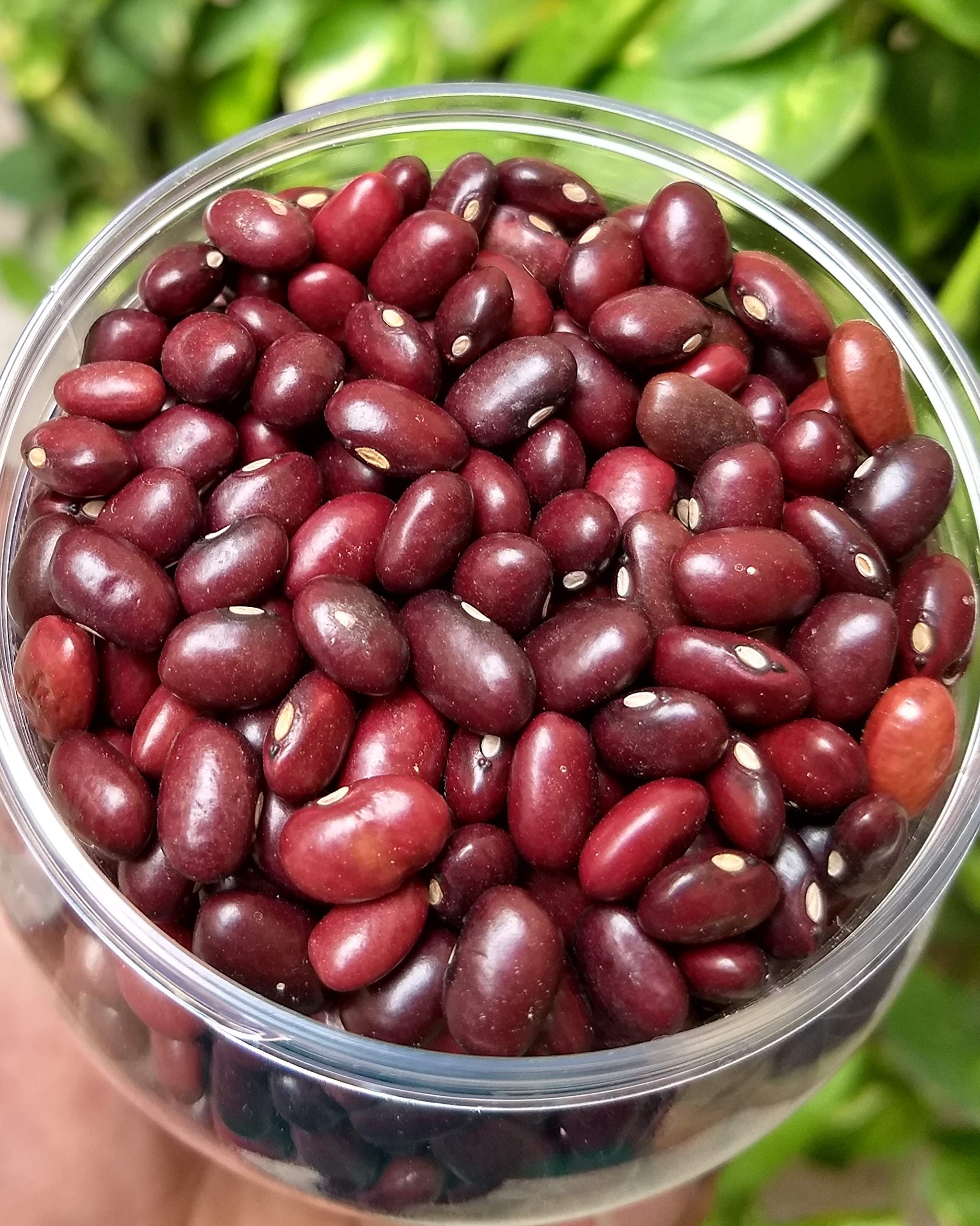 (9) a.Rajma b.Red Kidney Beans  c. Black kidney Beans d.White Kidney Beans.jpg